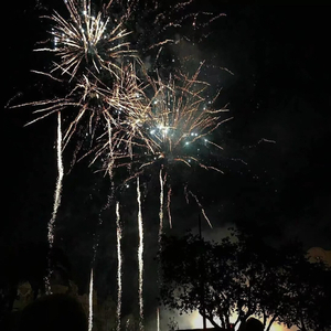 a性黄片叫床久久
