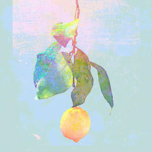 a性黄片叫床久久
